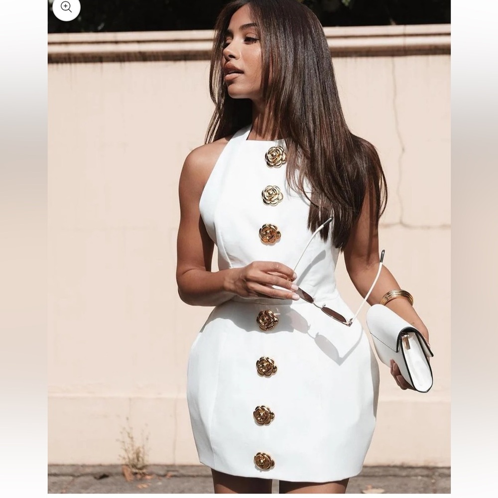 Atoir Tiffany Dress bought from Revolve